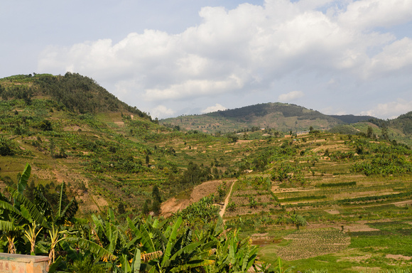 Landscape - rural Rwanda