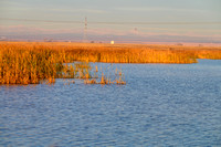 Frank Lake - Oct 2024
